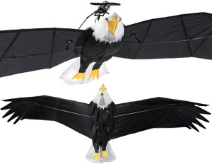 REMOTE CONTROL BALD EAGLE